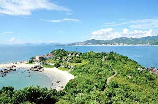 小汪汪