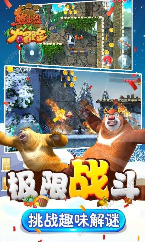 救援非洲金猫