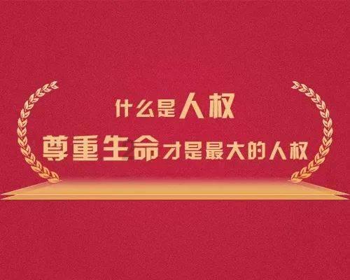 救援大嘴鸟